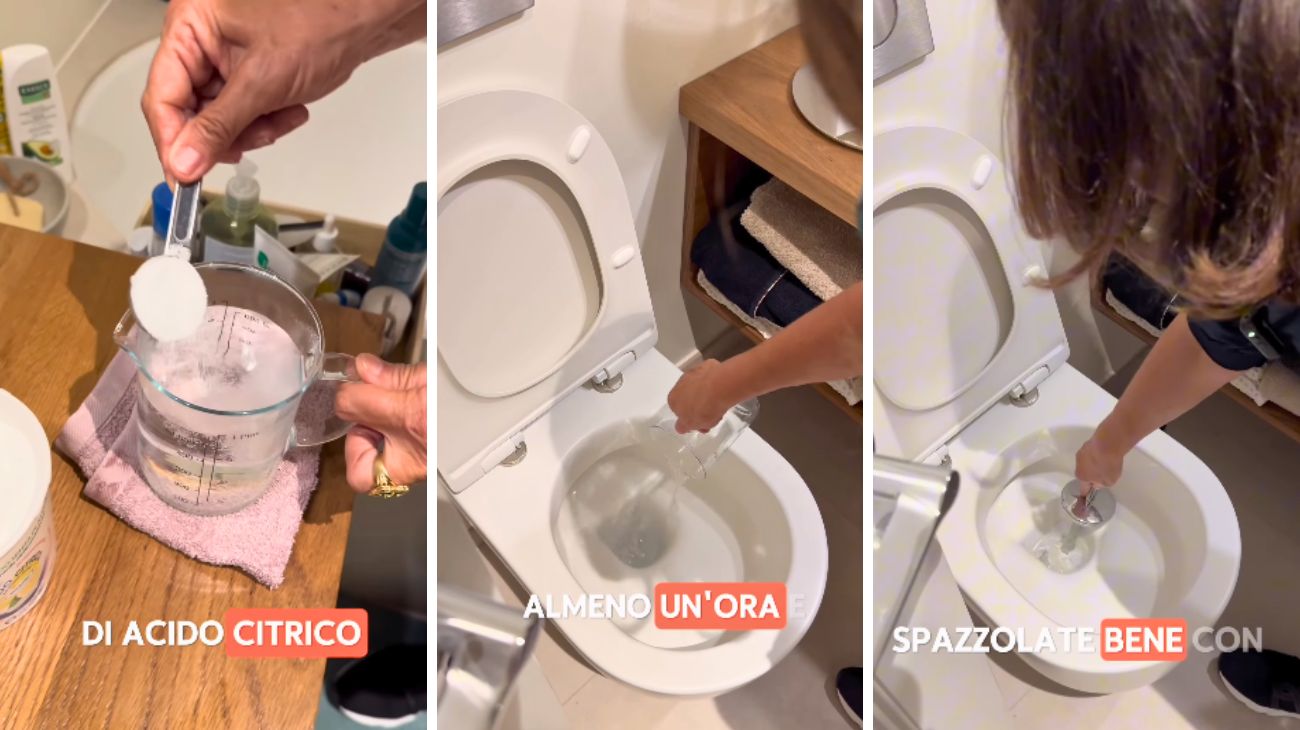 Calcare WC