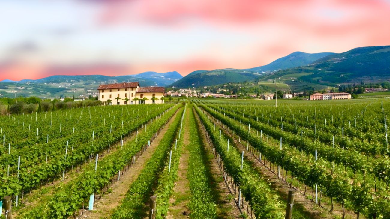 Concorso Veneto posto fisso