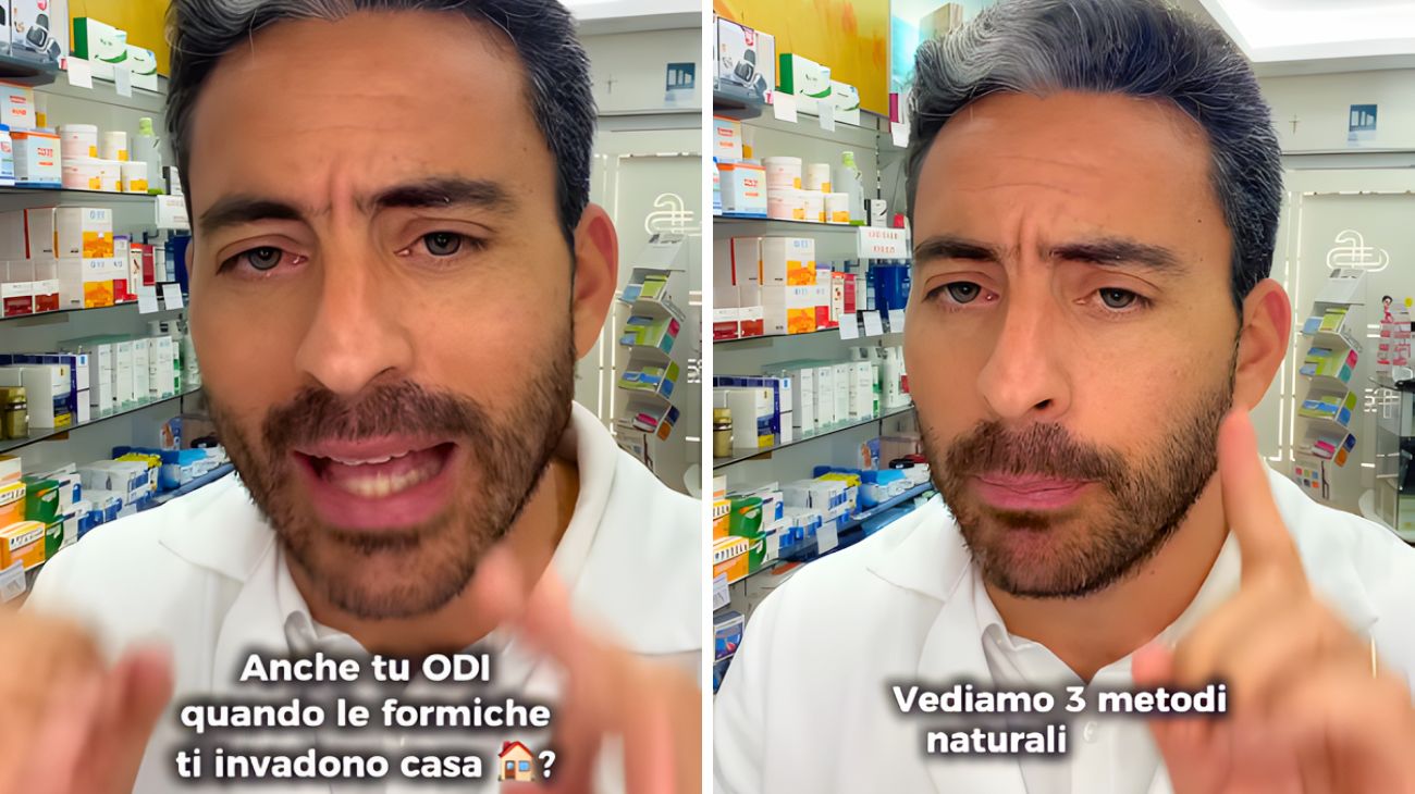 Formiche metodi casa