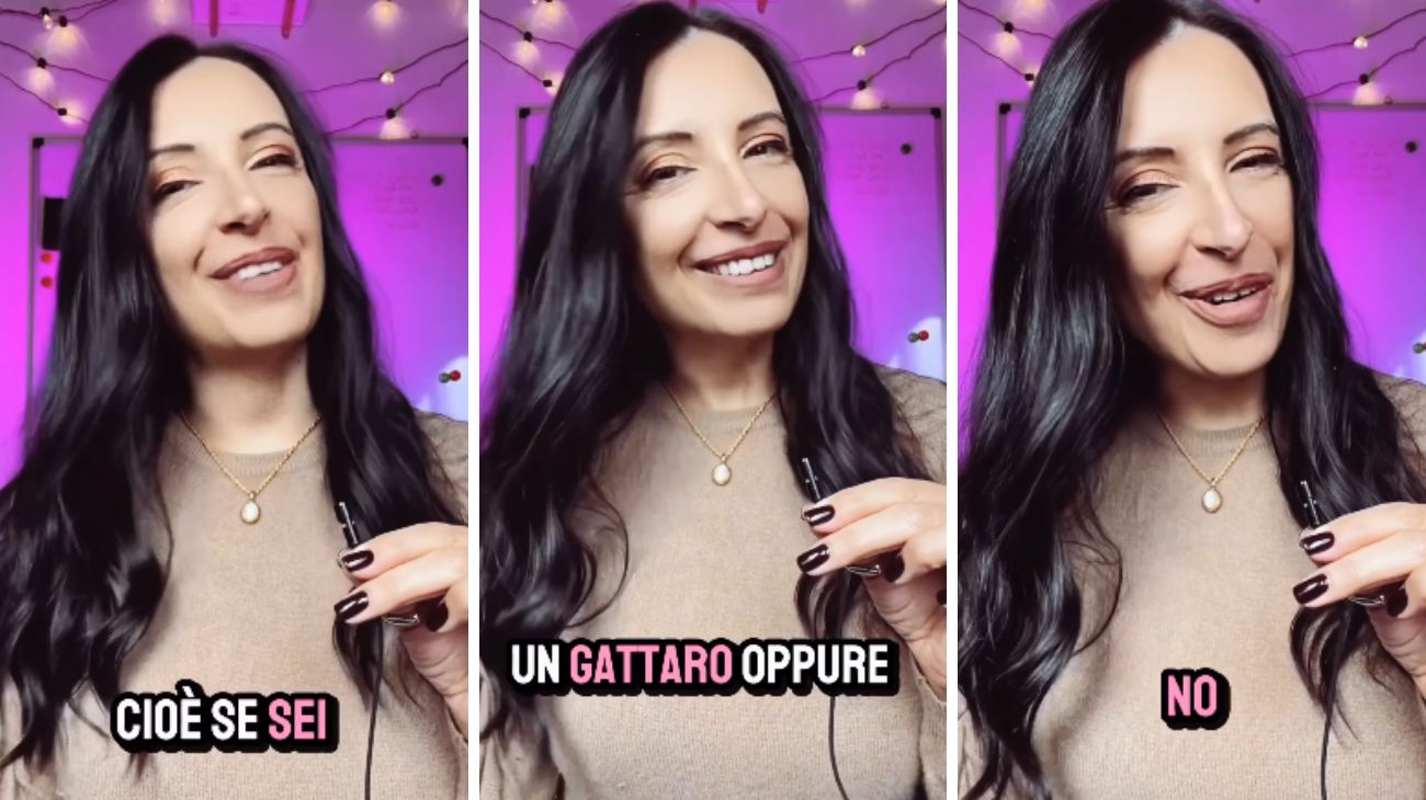 Gatti cani
