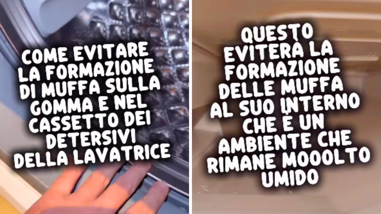 Lavatrice muffa