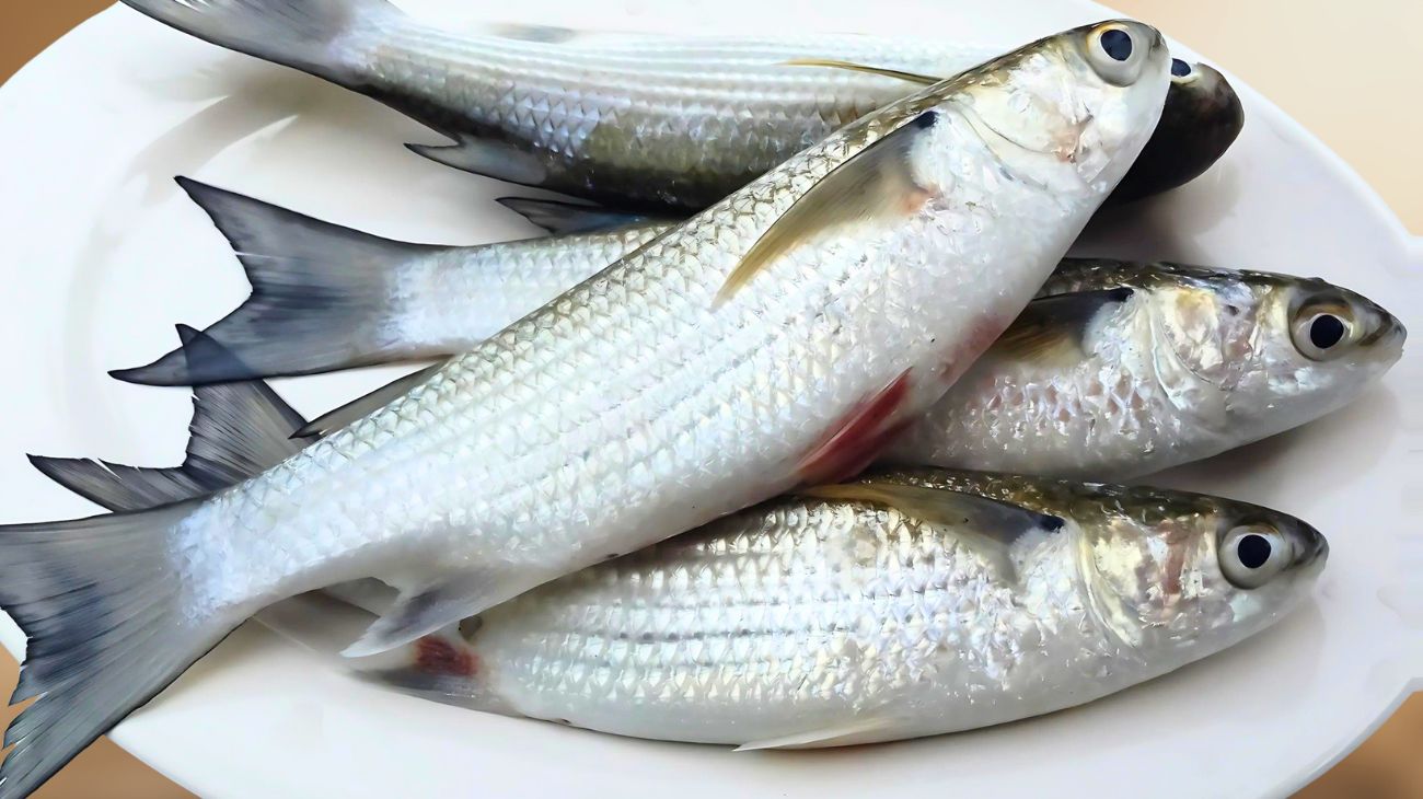 Pesce ottobre