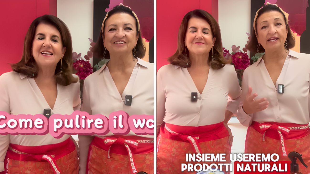 Pulire wc