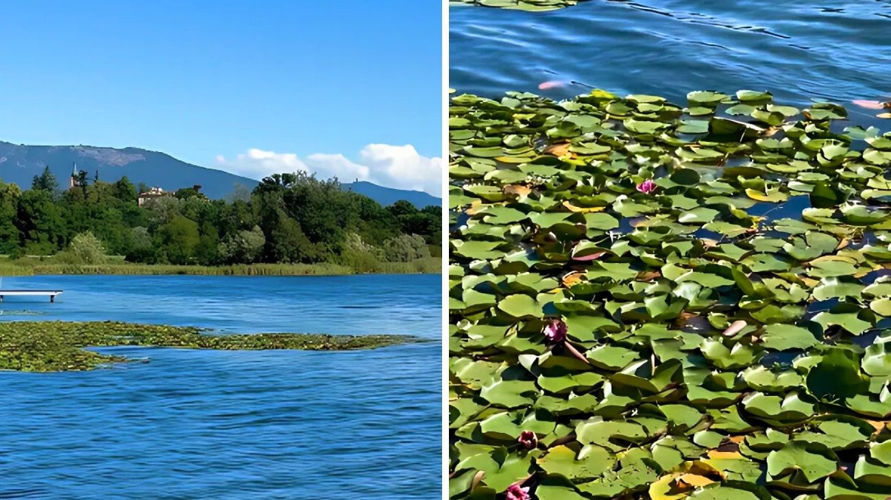Sud-Est asiatico Lombardia