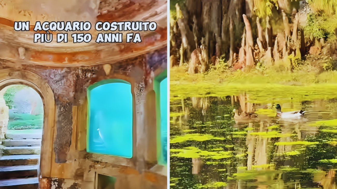 acquario (1)