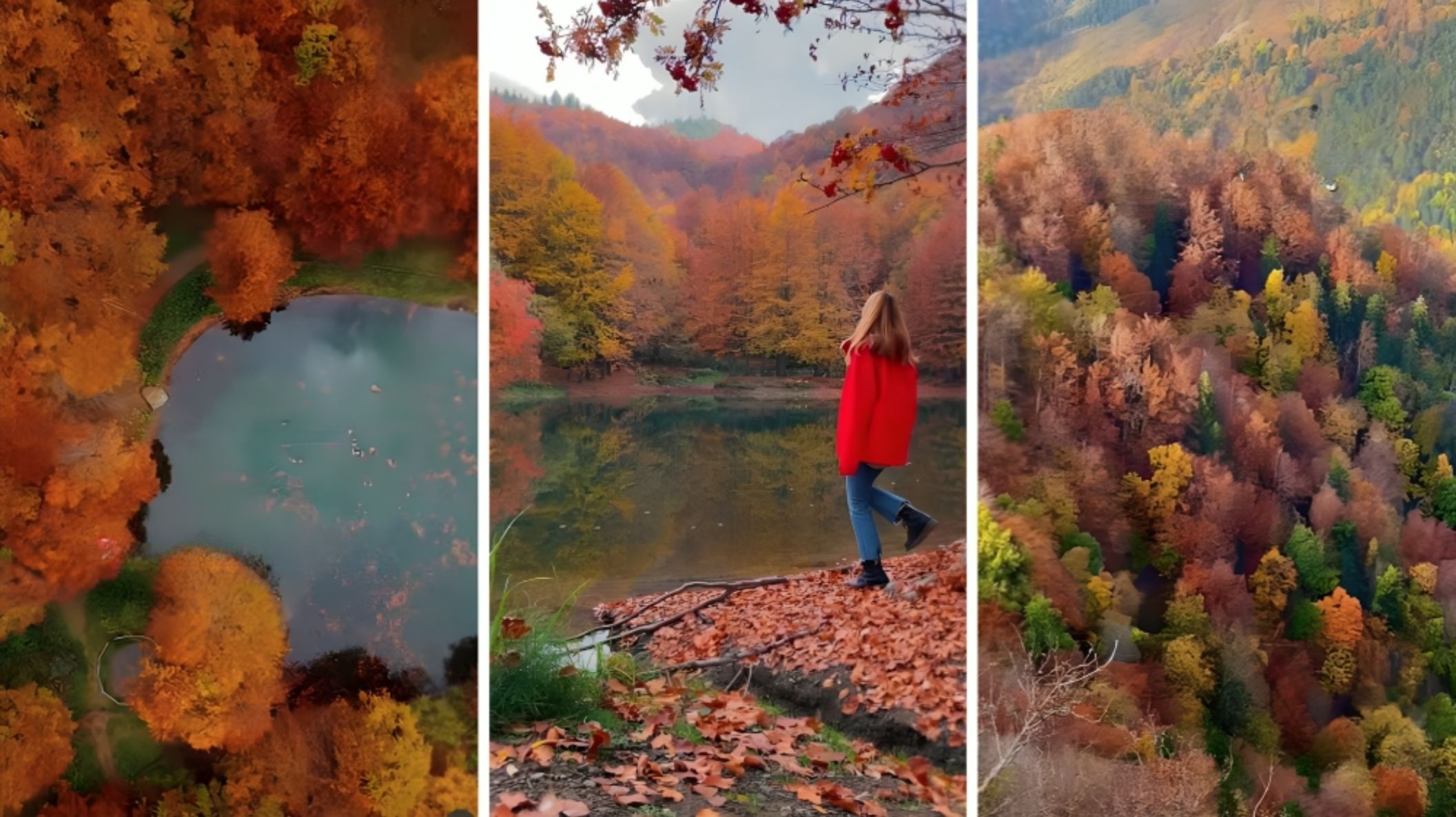 foliage autunno (1)