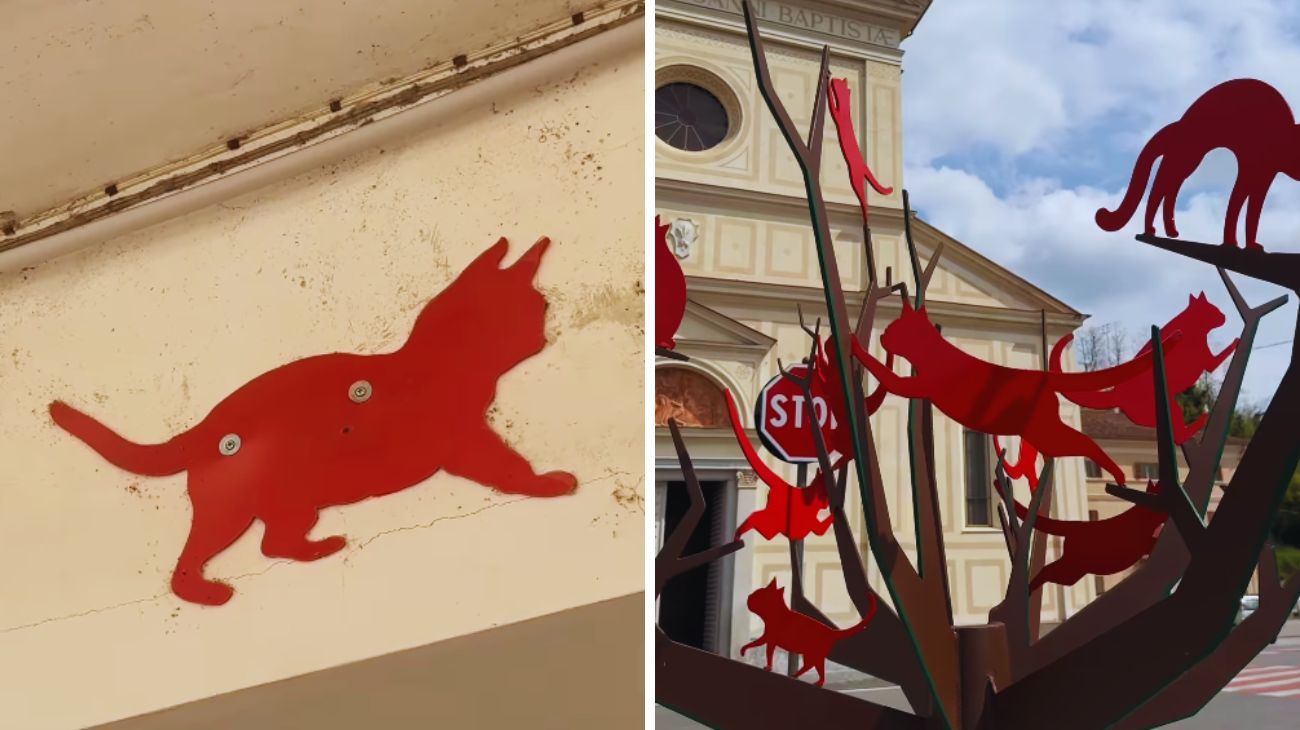 paese dei gatti rossi