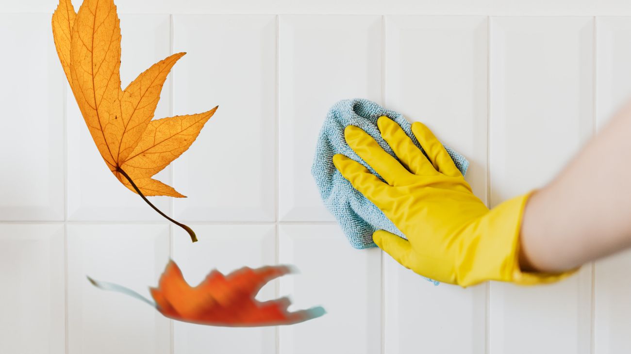 Pulizie di novembre, i 5 oggetti da eliminare per rinnovare la casa