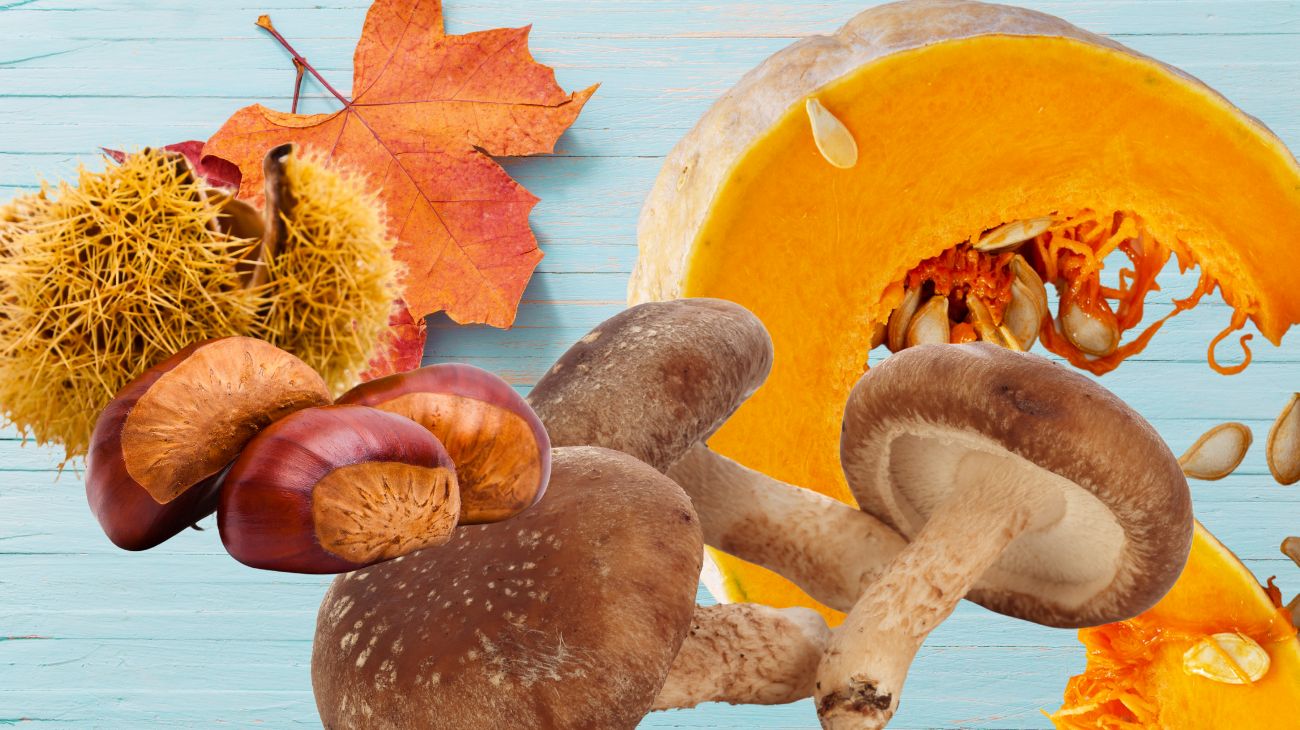  zuppa autunnale 
