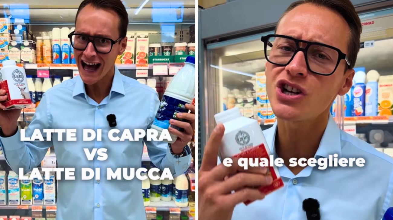 Latte di capra mucca