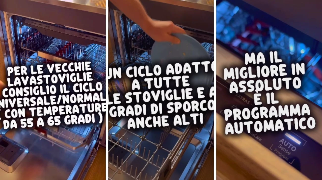 Lavastoviglie programma