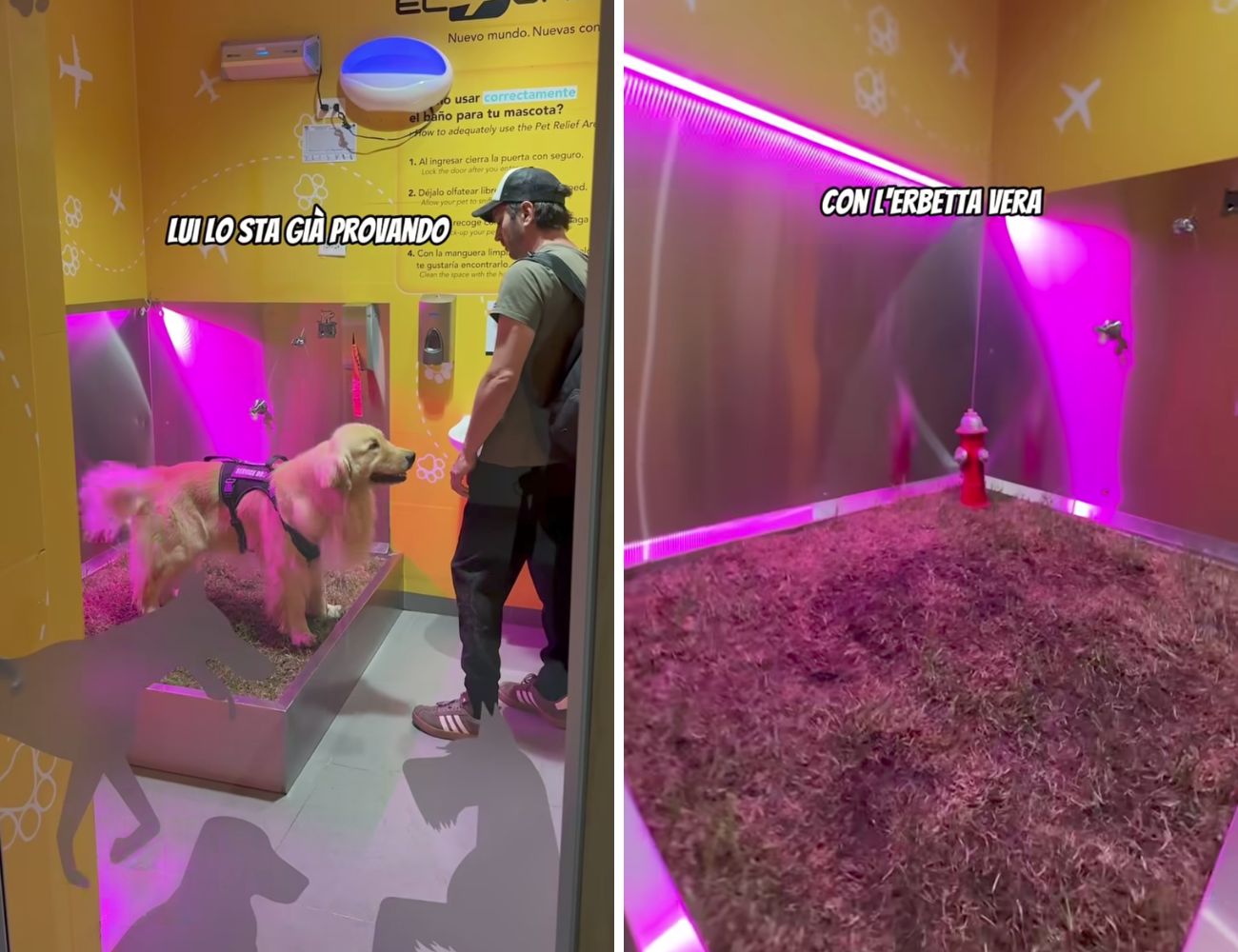 Nell'aeroporto di Bogotà c'è un bagno solo per cani