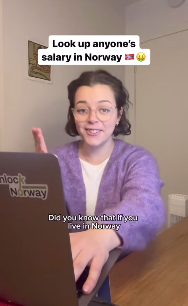 Se vivi e paghi le tasse in Norvegia. puoi consultare il patrimonio di chiunque, con un account certificato.