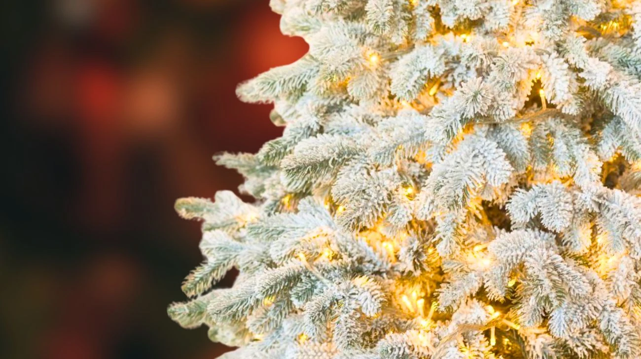 8 dicembre busta paga