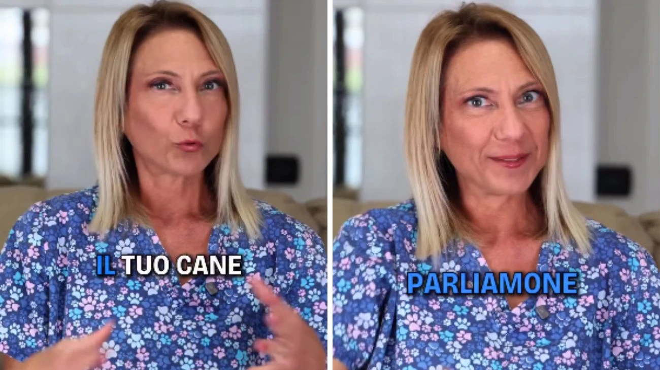 Cani diarrea cambiare alimentazione