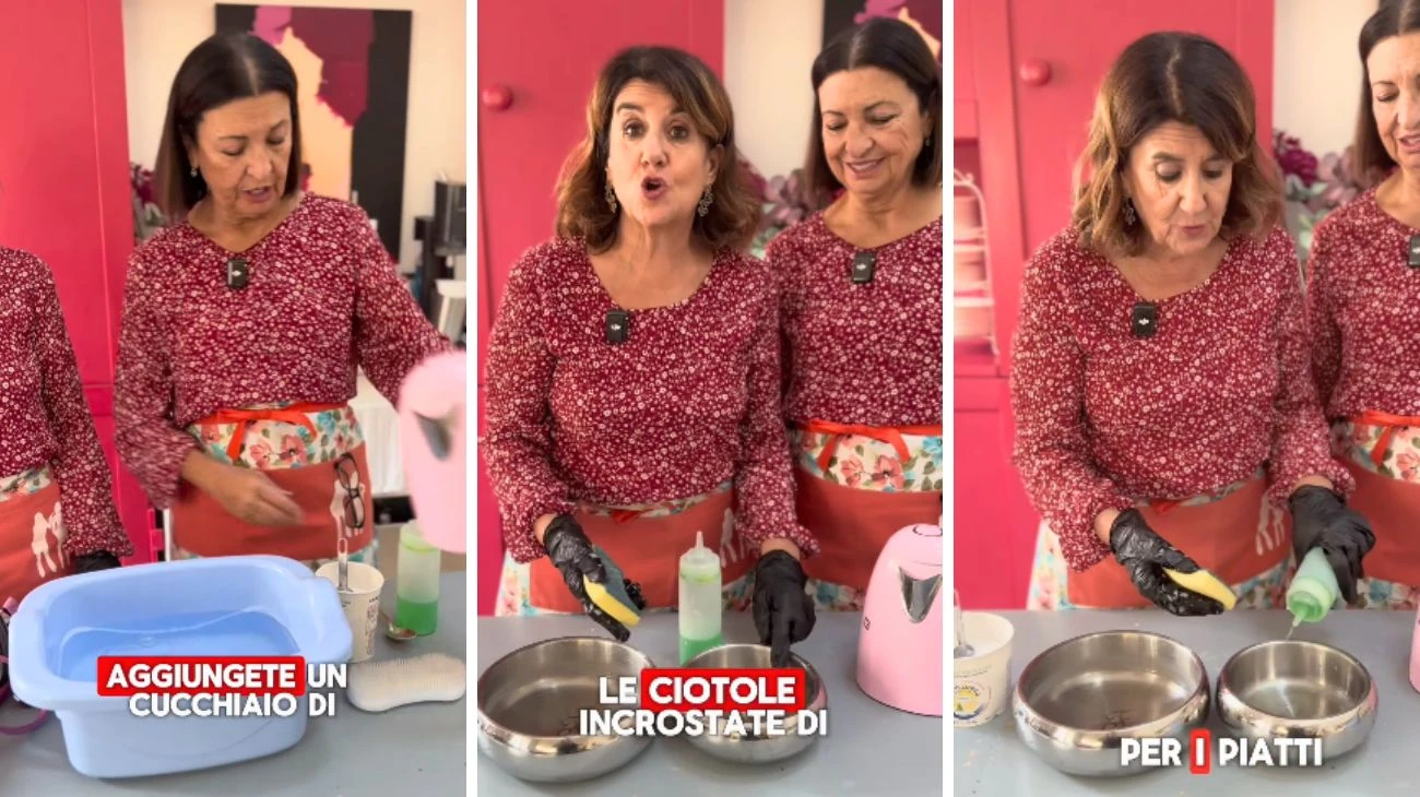 Cani pulire guinzaglio ciotole