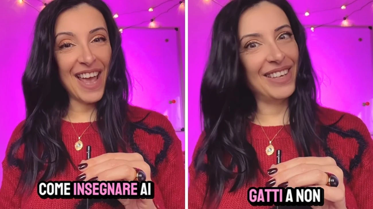 Gatti morde cosa fare