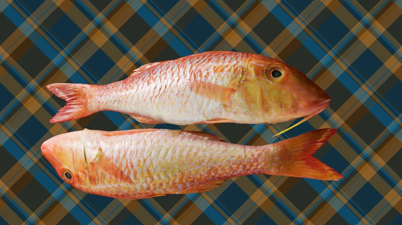 pesce da mangiare a dicembre (1)