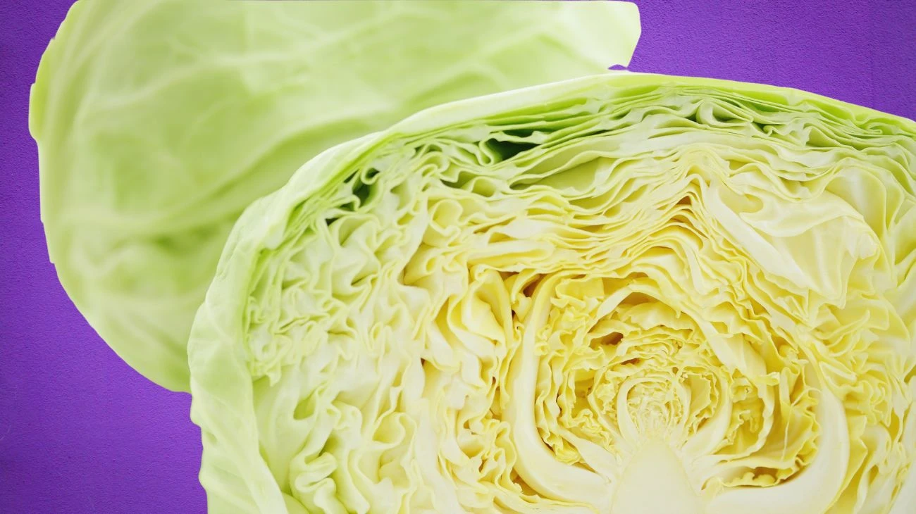 verdura migliore da mangiare a dicembre (1)