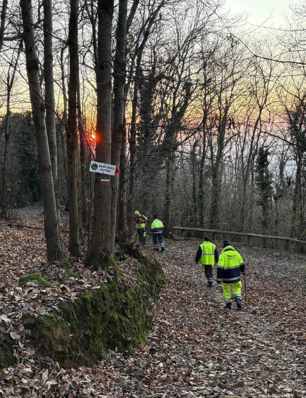 annabella martinelli