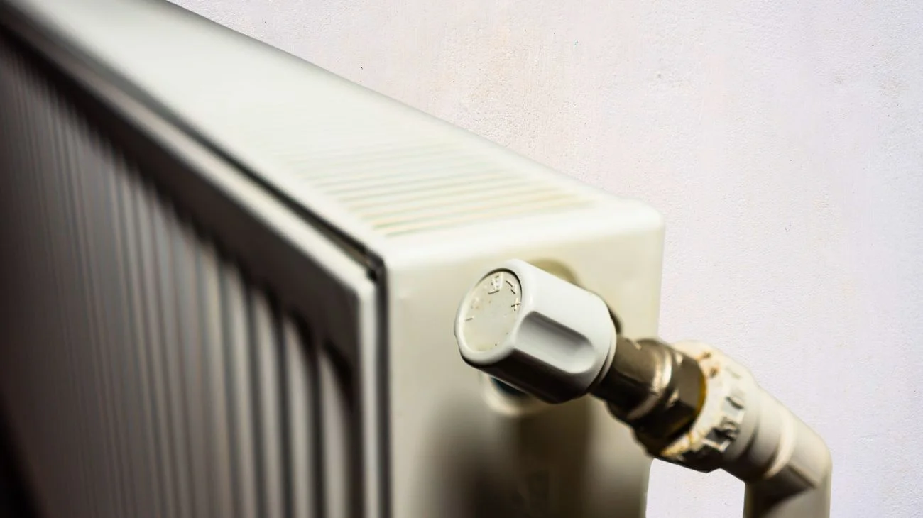 Pulizie di primavera