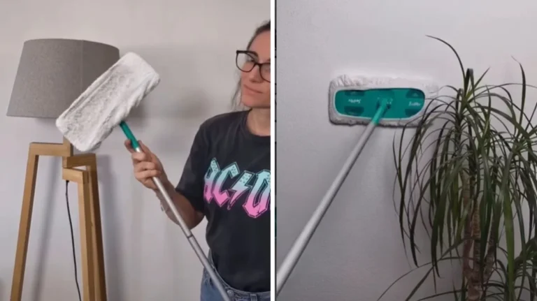 Pulire il muro di casa