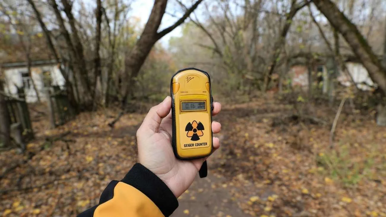Chernobyl, c'è un fungo che cresce: potrebbe diventare fondamentale contro le radiazioni
