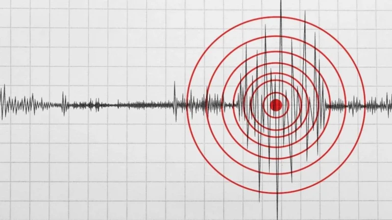 Terremoto ecco la verità