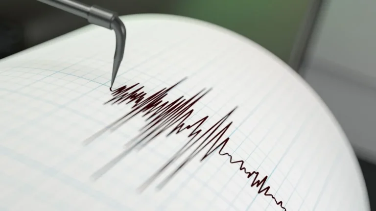 Terremoto tutti i dettagli