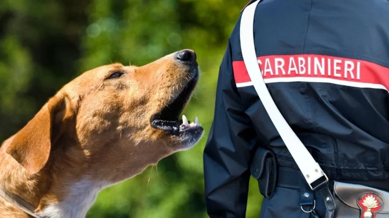 Carabinieri e un cane (Immagine a titolo esemplificativo) - Tuttonotizie.eu