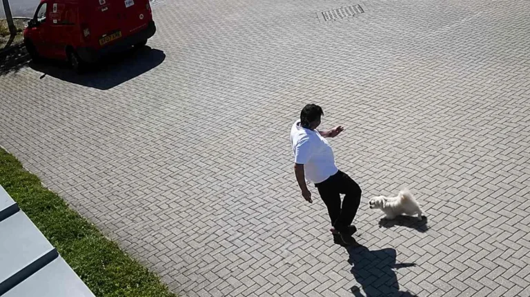 Cane aggredito dal Postino (Immagine editata dall'AI) - Tuttonotizie.eu