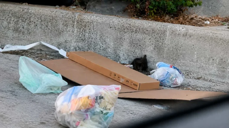 Spazzatura (Immagine generata con l'AI) - Tuttonotizie.eu