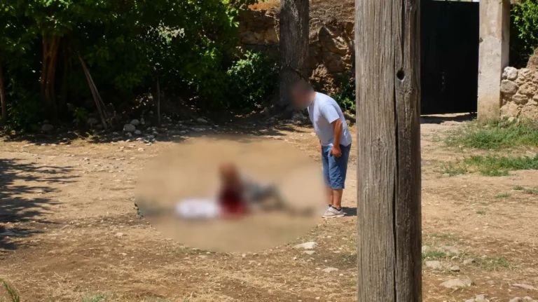 Uomo aggredisce la madre (Immagine editata dall'AI) - Tuttonotizie.eu
