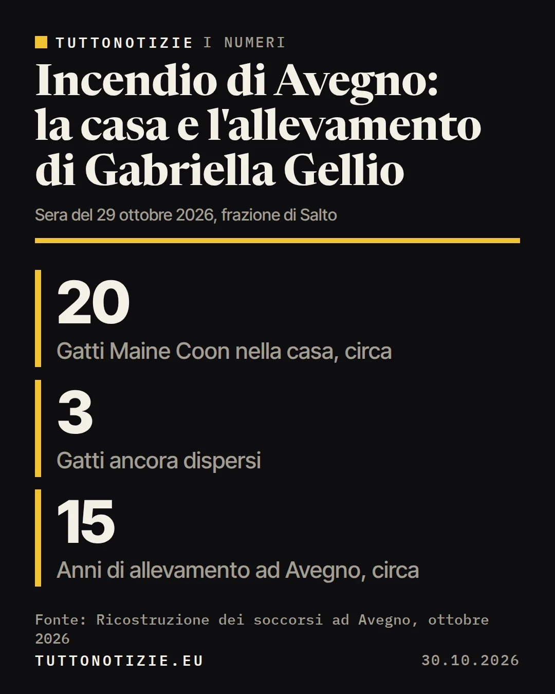 Infografica TuttoNotizie. Incendio di Avegno: la casa e l'allevamento di Gabriella Gellio. Gatti Maine Coon nella casa, circa: 20; Gatti ancora dispersi: 3; Anni di allevamento ad Avegno, circa: 15. Fonte: Ricostruzione dei soccorsi ad Avegno, ottobre 2026.